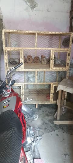 Big Cage