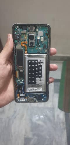 S9 plus Panel dead