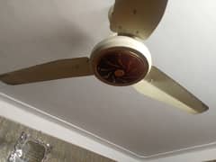 cieling fan