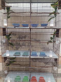 birds cage for sale beautiful and decorate cage