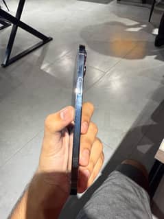 12 pro max