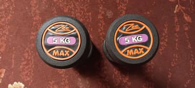dumbells