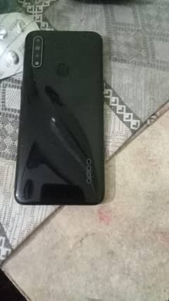 oppoa31
