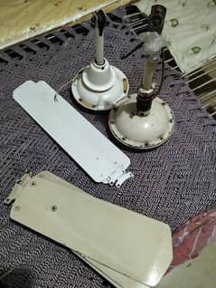 Ceiling fans for sale