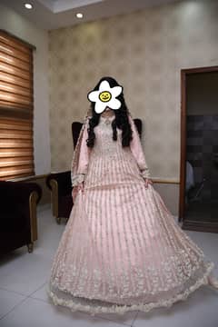 walima maxi