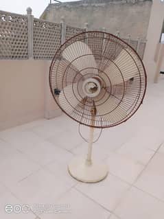 big fan