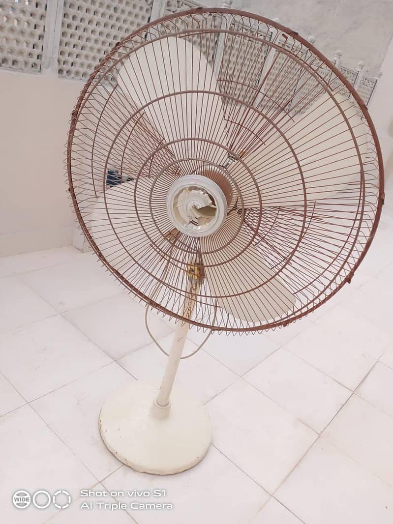big fan 2
