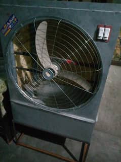 lahori room colur