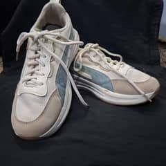 Puma.