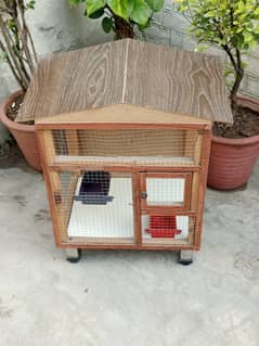 parrot