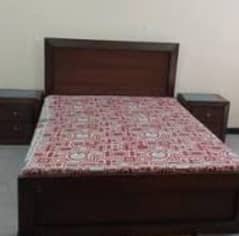 Queen bed with Molty Foam