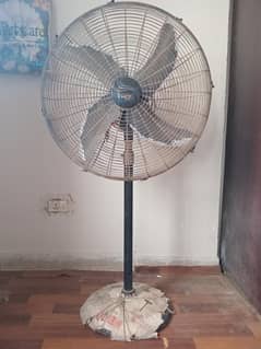 Padistle Fan