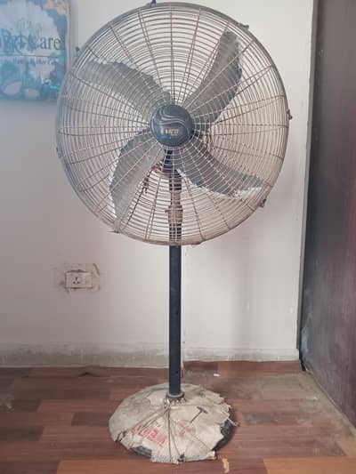 Pedestle Fan