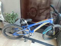 2 cycle for sale Hain