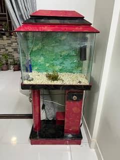 Aquarium requiring a new home