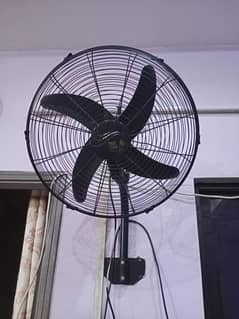 Wall