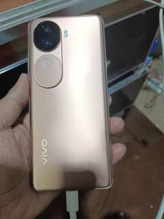 8 Month Warranty
