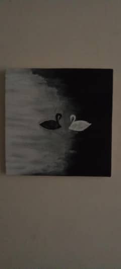 Swan