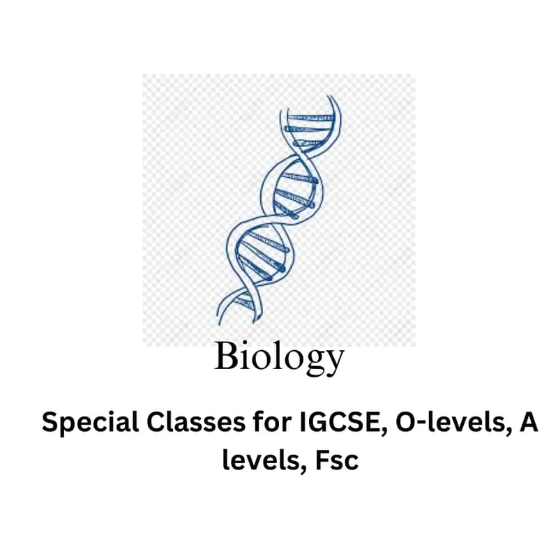 Online Tutor | O & A Levels | IGCSE | Edexcel | Matric | FSc | I. COM 3