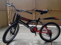 Roman Bike