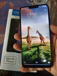 VIVO