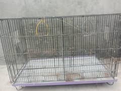PINJRA FOR SALE URGENT