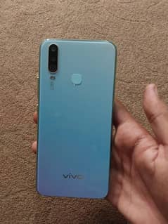 Vivo