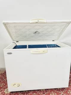 Waves Single Door Freezer
