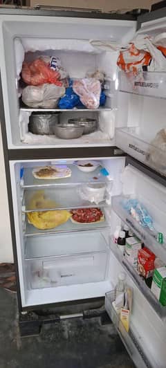 fridg