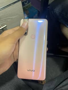 vivo