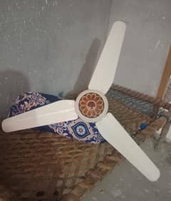 Roof Fan