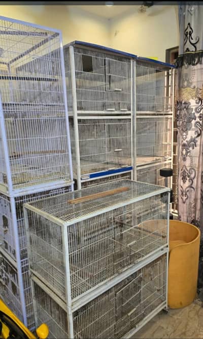 Love birds keekar box and iron cages birds