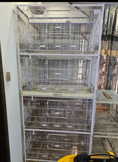 Love birds keekar box and iron cages birds