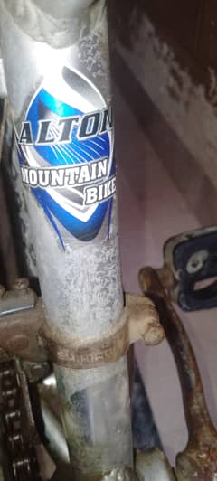 Cycle