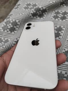 IPHONE 12 FULL LUSH CONDITION 10/10