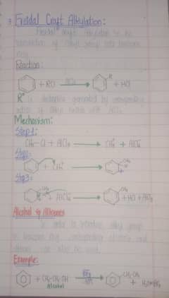 Assignment