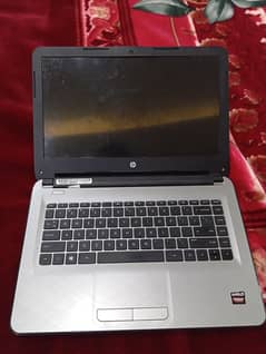 HP readeon AMD