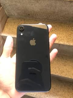 xr