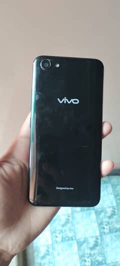 vivo