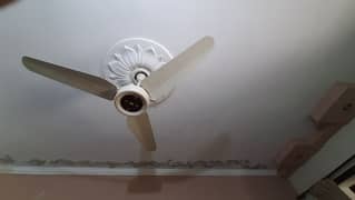 Lahore fan