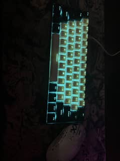 Beast gaming combo (mouse+keyboard)