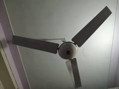 ceiling Fans