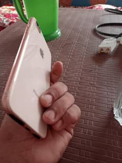 iphone 8 plus water pak bypass condition bilkul 10 by10