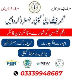 Sales Tax, Income Tax Return, Tax Consultant, FBR, Tax Filer, NTN,SECP