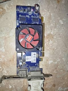AMD