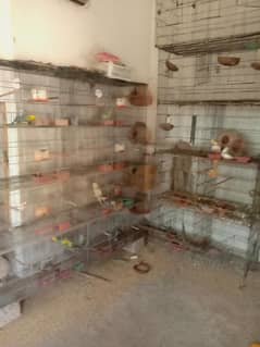 folding cages  for sale 8/12 portion
