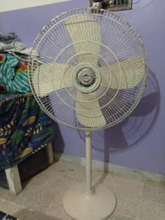 Tamoor