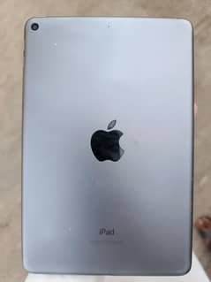 ipad mini 5