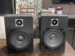 12 inch speaker