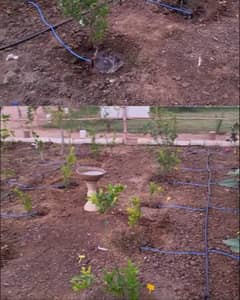 Home Gardening Drip Irrigation Drippers Drip System